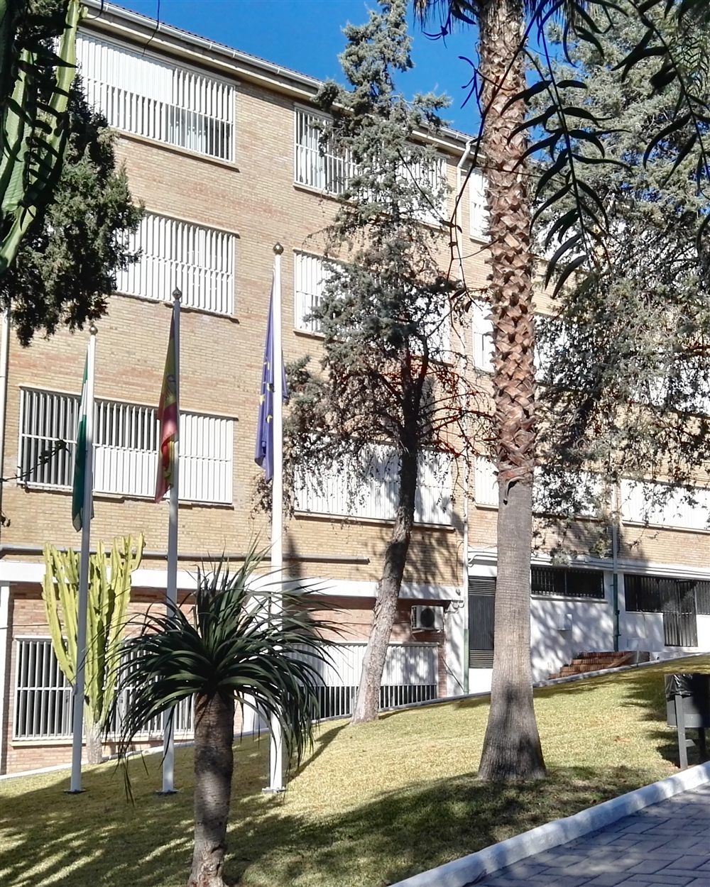 IES Sierra Blanca